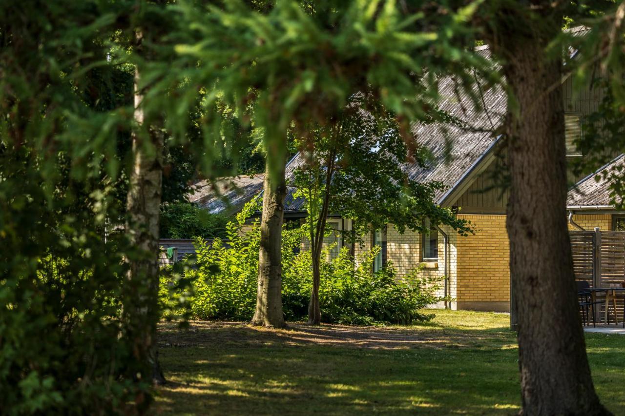 Pederstrup Bed And Breakfast Torrig Exteriér fotografie